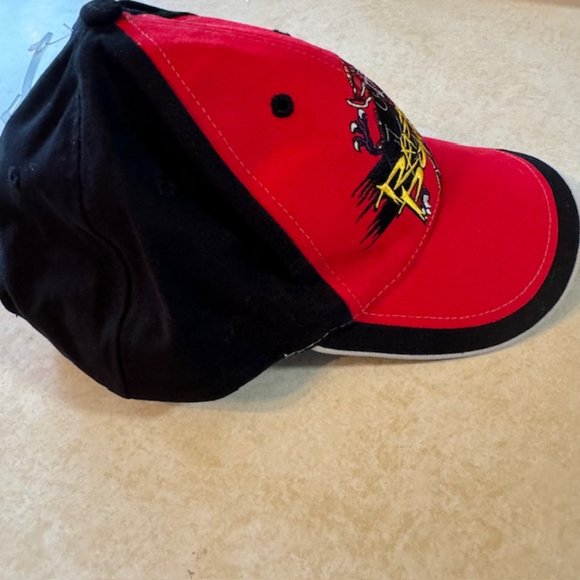 NWOT Vintage POWER RANGERS Dinothunder Raptor Power Strapback Hat - Picture 10 of 13